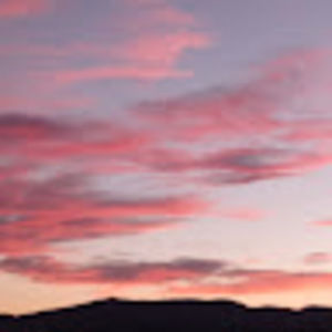 Meet your Posher, Layla